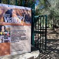 Via Francigena, il Comune di Terlizzi appoggia il progetto “Viator”