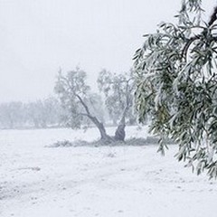 Neve su Terlizzi, confermata l'allerta meteo