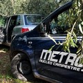 Fiat Silo rubata, ritrovata nelle campagne di Terlizzi dalla Metronotte