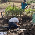 Sversamenti acqua Parco comunale, intervento dell'amministrazione