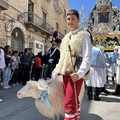 L'icona di Maria SS di Sovereto per le strade di Terlizzi - FOTO e VIDEO