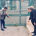 Giusy e Dada, esempio terlizzese di amore per il bene comune