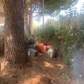 L'allarme di Barione: «Uffici comunali da paura»
