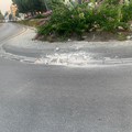 Rotatoria viale dei Giardini in condizioni pessime: l'attacco di Barione