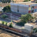 Lavori asilo nido, espiantati alberi. Insorge Puliamo Terlizzi