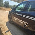 Metronotte srl, sventati due furti a Terlizzi