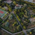 Incolumità pubblica, a Terlizzi via al piano di interventi sul verde