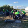  "Giornata Nazionale della Legalità ", Puliamo Terlizzi impegnata nel Parco La Padula