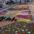 I fiori invenduti di Terlizzi all'infiorata di Alliste