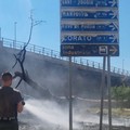 Incendio nel suolo privato con albero caduto in viale del Lilium: l'amarezza del sindaco di Terlizzi