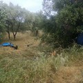 Auto fuori strada tra Bitonto e Terlizzi finisce tra gli alberi: illeso il conducente