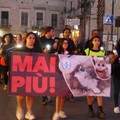 Massiccia partecipazione alla manifestazione in memoria dei tre gattini bruciati vivi. Le foto