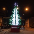 In viale Roma il grande albero di Natale Despar
