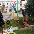 "Artreeco ", il Natale di Puliamo Terlizzi inizia oggi