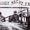 Genocidio nazista, il pensiero di Peppino Scaringella