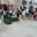  "Balconi in fiore ": iniziata la distribuzione gratuita delle piante (FOTO)