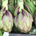 Scirocco e siccità: -60% produzione di carciofi. In Puglia invasione dall'Egitto
