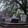 Processione Madonna Sovereto: una nutrita delegazione di Terlizzi a Rivello