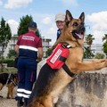 Cani molecolari di Terlizzi per la ricerca di un uomo scomparso malato di alzheimer