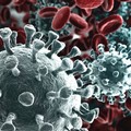 Coronavirus: 28 decessi e 1368 nuovi contagi in Puglia. A Terlizzi confermati 114 positivi