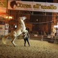 Partita la macchina organizzativa della "Corsa all'anello 2020 "