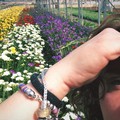 Florovivaismo: "riapre " la vendita di fiori e piante. Ma i problemi restano