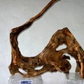«Chiedilo agli Alberi», opere d'arte scolpite nel legno