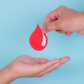 Oggi nuova Giornata della donazione del sangue dell'Avis Terlizzi