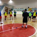 Futsal Terlizzi: tre allenamenti settimanali in attesa del ritorno in campo