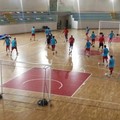 Serie C1: il Futsal Terlizzi esordirà in trasferta sul campo del Bisceglie