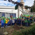 Festa dell'Albero, le considerazioni di Legambiente Terlizzi