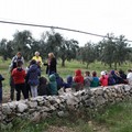 Festa dell'Albero speciale nell'azienda agricola Colle Optimo. Le FOTO