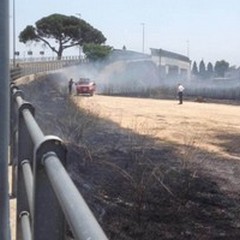 Incendio di vaste dimensioni alla periferia di Terlizzi