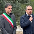 Il Comune di Terlizzi partecipa al World Cleanup Day