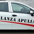 Vigilanza Apulia sventa furto in un'azienda floricola