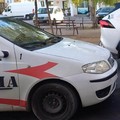 Tentano di rubare un'auto a Terlizzi, messi in fuga dalla Vigilanza Apulia