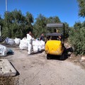 Bonifica dall'amianto, dall'amministrazione di Terlizzi «fatti e non parole»