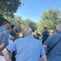 Furti Pozzo Lioy, l'amministrazione De Chirico ha incontrato gli agricoltori