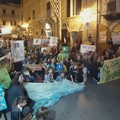 Friday For Future: gli studenti in piazza a Bari e Terlizzi (FOTO)