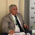 Olio d’oliva, scandalo da 180 milioni di euro. Sicolo: “Danni per l’Italia”