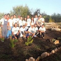 Grandi  "pulizie " in zona contrada Fondo Rotondo