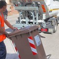 La Sanb cerca un giuslavorista