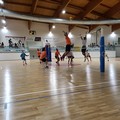 Semaforo rosso per la Polis Terlizzi al cospetto del New Volley Gioia del Colle