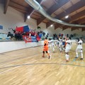 Oggi c'è Grimal Team-Futsal Terlizzi