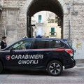 Operazione di Carabinieri e Polizia Locale contro lo spaccio di droga