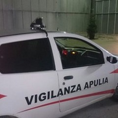 Furti in campagna, in azione le guardie giurate Apulia