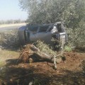 Finisce con l'auto contro un albero sulla 231, salvo per miracolo