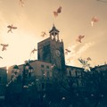 Oggi la terza e ultima giornata della prima edizione dell’Apulia Web Fest