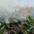 Incendio in un terreno in via Carelli: pronto l'intervento dei Vigili del Fuoco (FOTO)