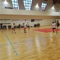 Domenica prossima l'esordio del Futsal Terlizzi nel campionato under 21